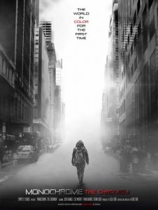 Монохром: Хромизм